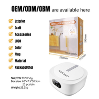 Sèche-linge électrique portable 600W, mini semi-automatique, écoénergétique classe A, pour usage hôtelier, boîtier en plastique, lumière UV LED