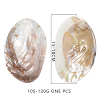 Coquille de nacre d'eau douce artisanale, prix de gros, pour bricolage, cadeaux, décoration de la maison