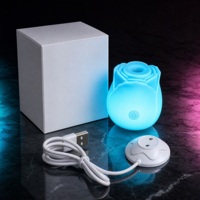 Vibrateur rose qui brille dans le noir, stimulateur clitoridien lumineux magnétique USB, jouet sexuel pour adultes pour femmes