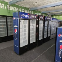 Réfrigérateur commercial à porte simple de 268 L, vitrine réfrigérée avec porte en verre et serrure pour magasin de proximité, refroidisseur vertical de boissons