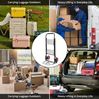 Chariot d'entrepôt multifonctionnel Deliladder avec plateforme pliable en aluminium et chariot de courses mobile