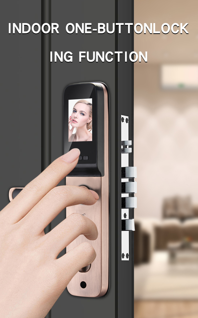 Factory Wholesale Tuya Smart Door Handle Lock Electric Keyless Fingerprint Access Memory Card for Wood Steel WiFi Connectivity · image 4