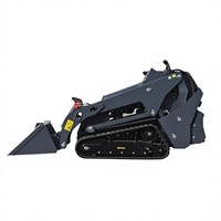 Mini-chargeuse sur chenilles homologuée EPA, chargeuse compacte diesel avec moteur Kubota, 0,5 tonne