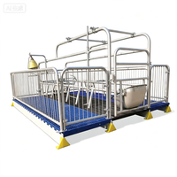 Équipement d'élevage pour truies, boxes de maternité pour porcs, cages d'élevage porcin