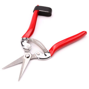 Treillis pour arbres fruitiers avec quincaillerie télescopique en acier inoxydable pour la culture <span class=keywords><strong>de</strong></span> la <span class=keywords><strong>vigne</strong></span> et la récolte des fruits, sécateur - Product Image 4