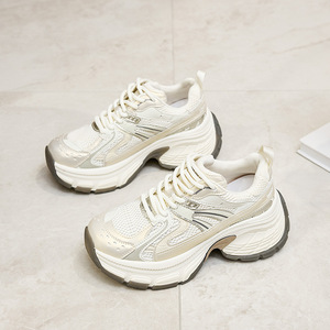 Chaussures de sport décontractées argentées 2026 - Nouvelles chaussures de sport épaisses en maille à lacets pour femmes - Chaussures à lacets - Product Image 2