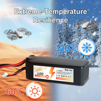 Batterie LiPo 22,2 V 6500 mAh à coque rigide 6S 50C Peak OEM ODM personnalisée avec connecteur d'équilibrage pour drone FPV