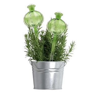 Produits de jardinage à domicile en verre de qualité supérieure, machine d'arrosage automatique pour <span class=keywords><strong>cactus</strong></span>, machine d'arrosage automatique pour jardinage à domicile, système d'arrosage goutte à goutte - Product Image 4