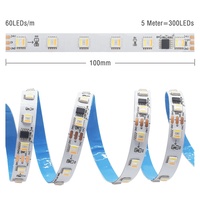 Bande lumineuse LED RGBCCT adressable DC24V 60LEDs/m Largeur du circuit imprimé 10MM SMD5050 FW1906 IC Bande lumineuse LED 10Pixels/M Pixels Bande lumineuse LED