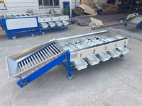 Professionele Citrus Fruit Sorteren Machine/Grapefruit/Pomelo Size Citrus Grading Sorteren Machine.
