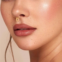 Bijou de piercing corporel en titane ASTM F136 G23, forme cœur, type clicker à charnière, pour boucles d'oreilles, septum, narine, anneaux et créoles