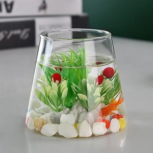 Décoration de maison moderne, mini pot de fleurs hydroponique, pot de plantes sans terre en PVC transparent avec vase en verre, plantes rondes vertes, jardin, pièce - Product Image 2