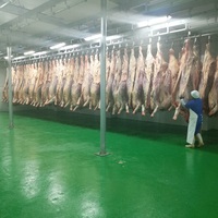 Rail de convoyage en acier inoxydable 304 à longueur personnalisable pour chambre froide de viande, abattoir de bétail, équipement de carcasse