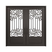 Portes doubles en fer forgé de style français avec grille simple et fenêtre pour l'extérieur