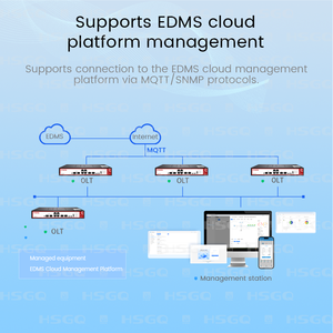 오리지널 HSGQ-T02 광섬유 FTTH XGSPON 10G SFP+ 13인치 네트워크 장비 2포트 XGPON <span class=keywords><strong>OLT</strong></span> - Product Image 6