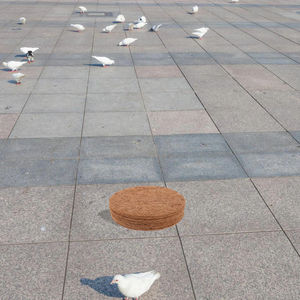 Tappetino Rotondo in Finta Pelliccia di Alta Qualità 22cm per Nido di Piccione Lavabile a Mano Accessorio per Nido di Piccione Forniture per Uccelli - Product Image 6