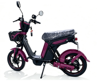 Moto électrique pour adultes à deux roues avec batterie au plomb, scooter électrique urbain avec panier avant, fourni par une usine chinoise
