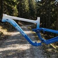Cadre de vélo de montagne en aluminium AL6061 sur mesure OEM, 26-29 pouces, cadre Softail DH MTB, vente en gros, certifié CE