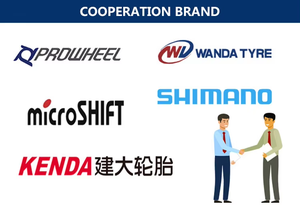 Vélo de plage à suspension complète <span class=keywords><strong>VTT</strong></span> à 4 pneus larges de 26 pouces, vélo de montagne de <span class=keywords><strong>cross</strong></span>-<span class=keywords><strong>country</strong></span> à queue souple en acier au carbone - Product Image 6