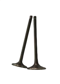 Kit de soupapes d'admission et d'échappement <span class=keywords><strong>pour</strong></span> moteur de <span class=keywords><strong>moto</strong></span> Bajaj CT100 – Pièces de rechange <span class=keywords><strong>pour</strong></span> soupapes de moteur - Product Image 2