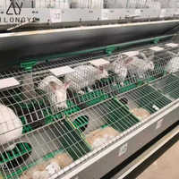Cages à lapins de qualité supérieure, style industriel européen, cages à lapins commerciales européennes