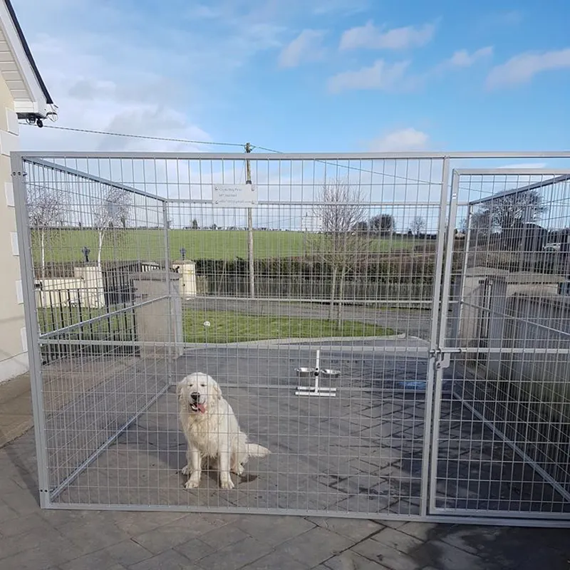 Vente en gros de grande cage à chien en métal utilisée en plein air de haute qualité et panneaux de clôture en cours d'exécution