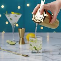 Ensemble de 6 shakers Boston 750ml/600ml Shaker à cocktail non lestés Accessoires de barman en métal Jigger Mesure en gros Barware
