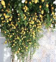 Guirlande de plantes grimpantes artificielles en soie verte pour décoration intérieure de plafond pour Thanksgiving, restaurants, hôtels, salles de banquet