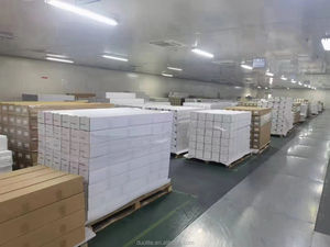 Suntek-Película protectora de pintura para carrocería de coche, transparente, TPU, estirable, PPF, muestra gratis de fábrica - Product Image 5