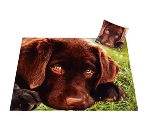 Customize Animal Photos Patterns Soft Fleece Sublimation Digital Printing Logo Sherpa Throw Blanket