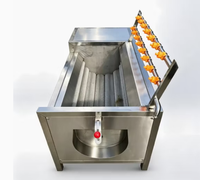 Machine industrielle commerciale pour le lavage et le pelage des pommes de terre, du manioc, du gingembre, des radis et des moules pour usine alimentaire