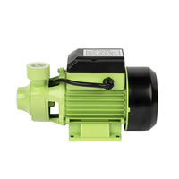 Pompe à eau QB60 1/2" hp, arbre en acier inoxydable, haute pression, usage automobile, pompe périphérique, pompe électrique de surface