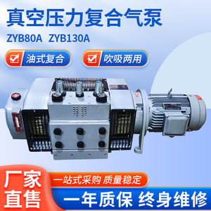 Pompe à vide industrielle Isge Zyb60A 22 m³/h, hauteur de refoulement 60 m, en fonte et acier inoxydable, entraînement électrique - Product Image 5