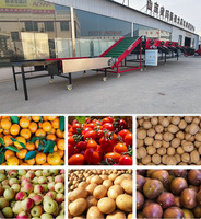 Multifunctionele Groentefruit Sorteermachine Ananas Appel Aardappel Tomaat Grader Machine Met Motor Kern Voor Het Wassen Sorteren Sorteren