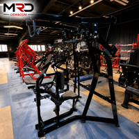 Máquina de Poleas para Ejercicios de Espalda, Equipo de Entrenamiento de Fuerza, Equipo de Gimnasio, Máquina de Fitness Comercial