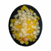 [Qualité d'exportation] Fruits tropicaux mélangés au sirop naturel-Boîte à cocktail de 6 variétés, ingrédient de dessert prêt à manger, paquet de 425g * 24