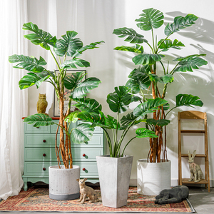 Di alta qualità 190CM foglie verdi Turtleback pianta in vaso finto piantato all'ingrosso piante artificiali per decorazione interna esterna - Product Image 4