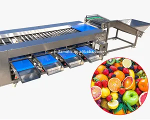 100-2000 KG/H Buen Servicio Postventa Ronda Vegetal Oval Frutas Rodillo Clasificador Selección Grado Clasificación Máquina