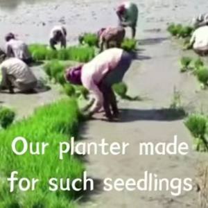 Mini Trasplantadora de Arroz de 2 Filas de Alta Productividad con Componentes Centrales de Engranajes - Product Image 6