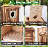 Nichoirs à oiseaux en bois de nouvelle conception pour l'extérieur avec protection contre les prédateurs en métal pour les pinsons, les hirondelles, les moineaux, faciles à nettoyer