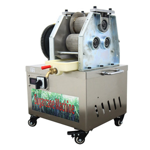 Extractor de Jugo de Caña de Azúcar Eléctrico de Acero Inoxidable, Comercial, Duradero, 300 kg/h, para Uso en Restaurantes, <span class=keywords><strong>Nuevo</strong></span> - Product Image 6
