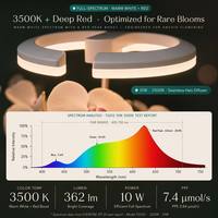 Coffret Cadeau Plante d'Orchidée avec Lampe de Croissance et Pot Intelligent Auto-Arrosant – Boîte Cadeau de Noël pour Plantes d'Intérieur – Vente en Gros Personnalisable