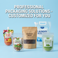 Pochette Doypack personnalisée avec bec verseur et bouchon refermable, anti-fuite, pour l'emballage de jus, smoothies, eau et autres boissons