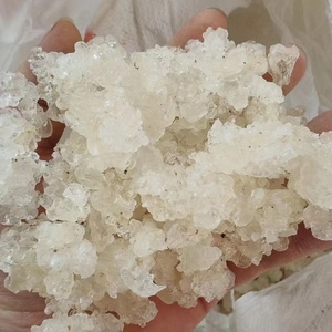 Nourriture séchée de collation de <span class=keywords><strong>nid</strong></span> <span class=keywords><strong>d</strong></span>'<span class=keywords><strong>hirondelle</strong></span> de sang avec des saveurs sèches amères épicées pour adultes enfants boîte sac emballage utiliser des ingrédients quotidiens - Product Image 5