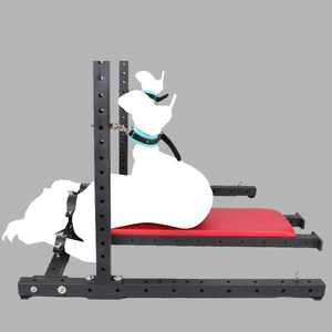 Canapé de bondage rembourré de luxe pour séances fétichistes pour adultes, jeux érotiques et discipline soumise - Product Image 6