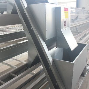 Spécialisation dans les solutions de cages à poules de type A pour les exploitations commerciales de petite et moyenne taille en Afrique - Product Image 3