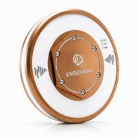 Détecteur de fuites de pipeline à capteur d'émissions acoustiques ENSENMAX ACOUSEN 300 pour valve industrielle fixe, surveillance des conditions en temps réel, haute performance
