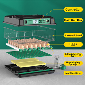 Cung cấp điện kép lồng ấp trứng nở Máy công suất 100 lồng ấp trứng hoàn toàn tự động - Product Image 3
