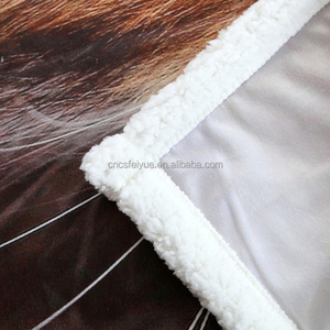 FY personnalisé léopard tigre neige léopard Lion Animal impression numérique chaud flanelle polaire Polyester recyclé jeter couverture - Product Image 6