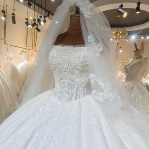 Lsml029 Vestido de Novia Moderno Estilo Princesa con Apliques de Encaje y Cola Capilla para Novias Sexys y a la Moda - Product Image 6